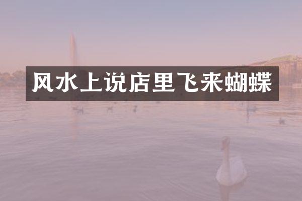 风水上说店里飞来蝴蝶