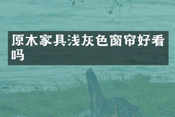 原木家具浅灰色窗帘好看吗