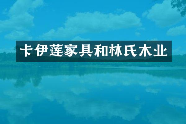 卡伊莲家具和林氏木业