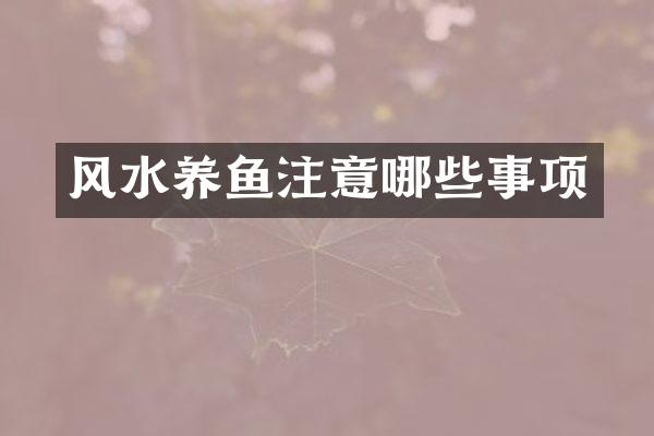 风水养鱼注意哪些事项