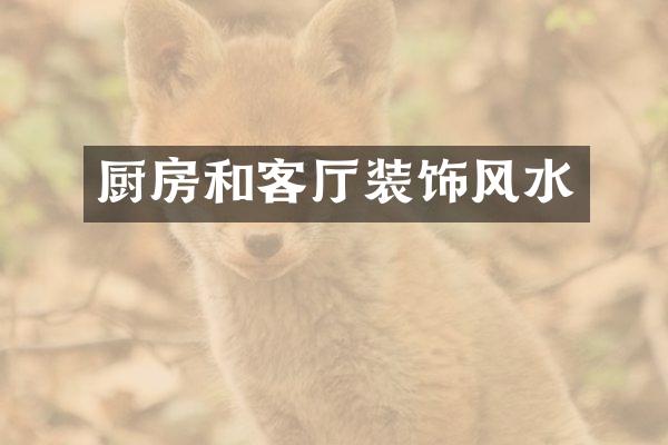 厨房和客厅装饰风水
