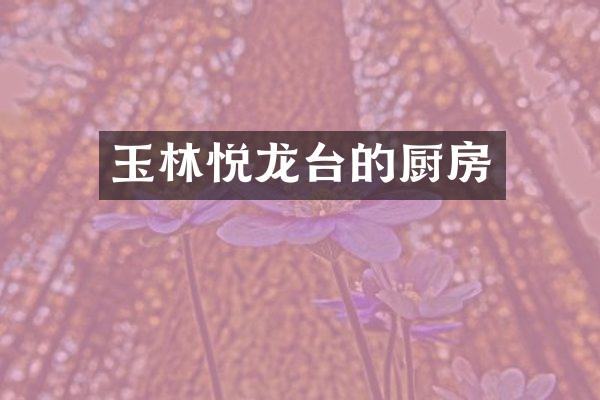 玉林悦龙台的厨房