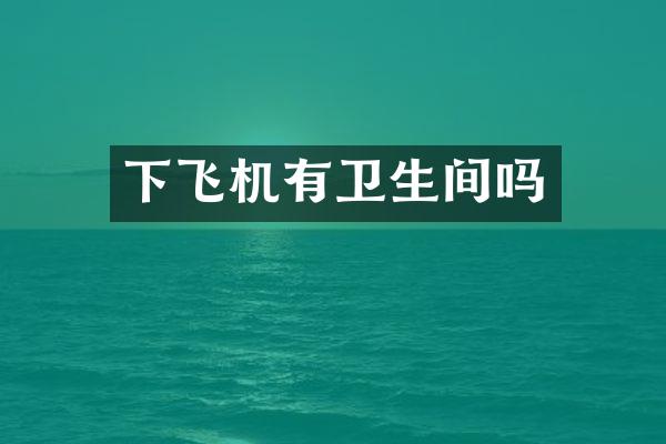 下飞机有卫生间吗