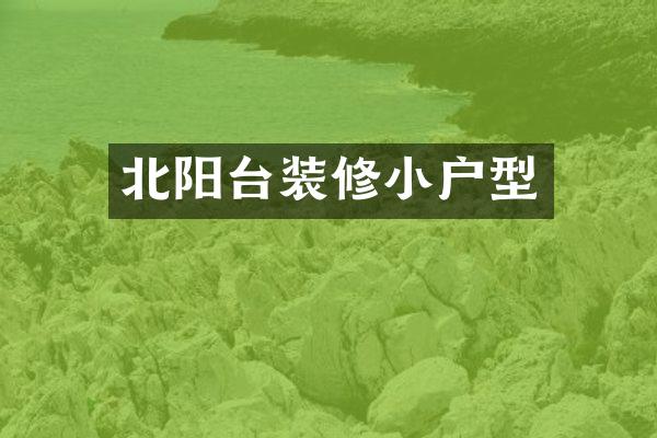北阳台装修小户型