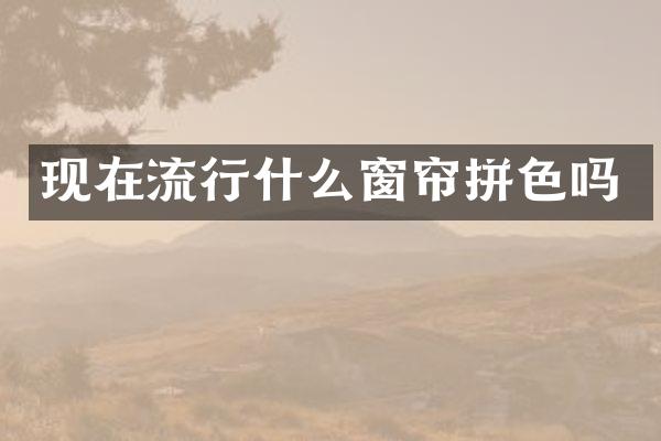 现在流行什么窗帘拼色吗