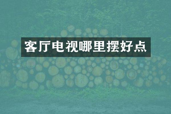 客厅电视哪里摆好点