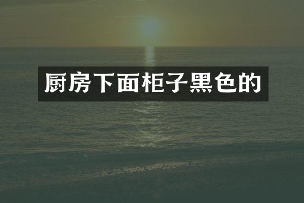 厨房下面柜子黑色的
