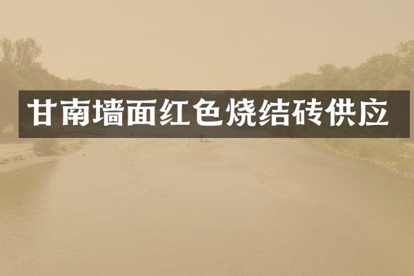 甘南墙面红色烧结砖供应