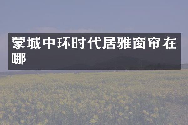 蒙城中环时代居雅窗帘在哪