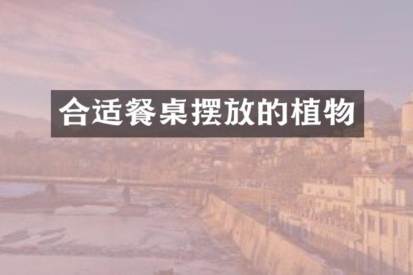 合适餐桌摆放的植物