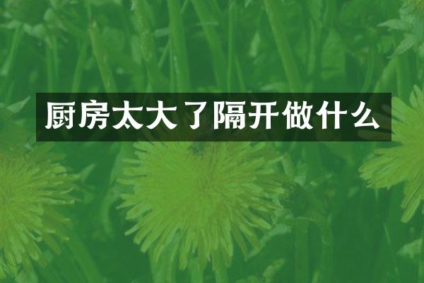 厨房太大了隔开做什么