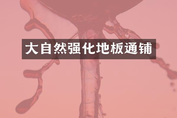 大自然强化地板通铺