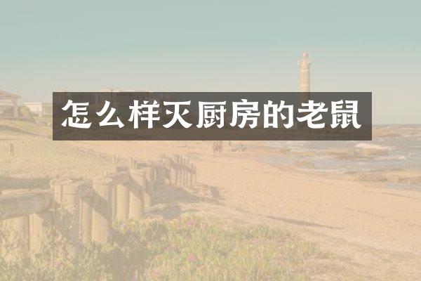 怎么样灭厨房的老鼠