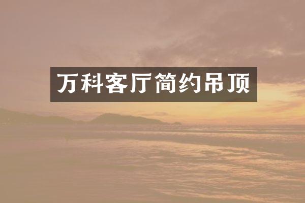 万科客厅简约吊顶