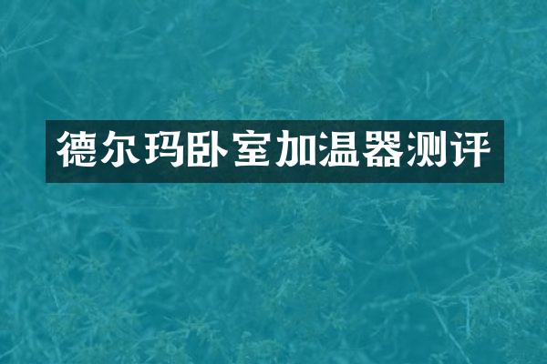 德尔玛卧室加温器测评