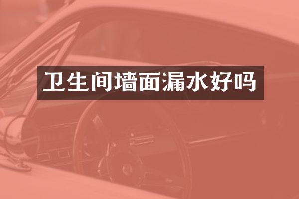 卫生间墙面漏水好吗