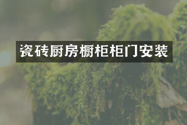 瓷砖厨房橱柜柜门安装