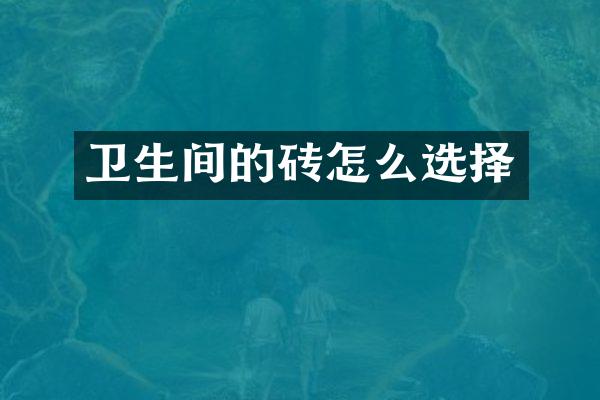 卫生间的砖怎么选择