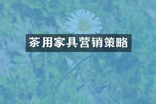 茶用家具营销策略
