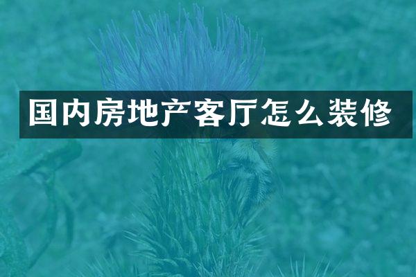 国内房地产客厅怎么装修
