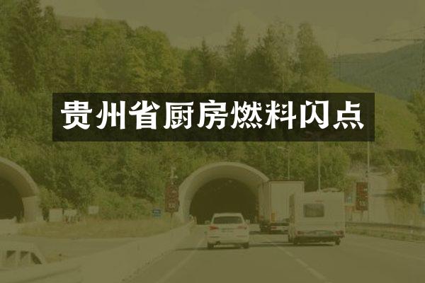 贵州省厨房燃料闪点