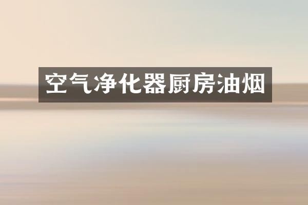 空气净化器厨房油烟