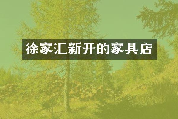 徐家汇新开的家具店