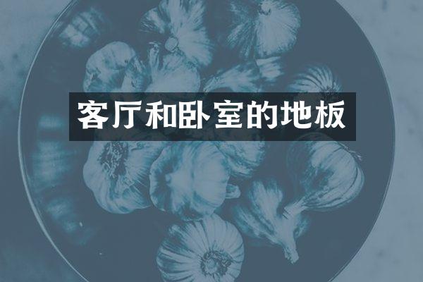 客厅和卧室的地板