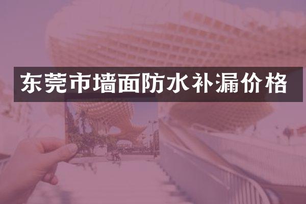 东莞市墙面防水补漏价格