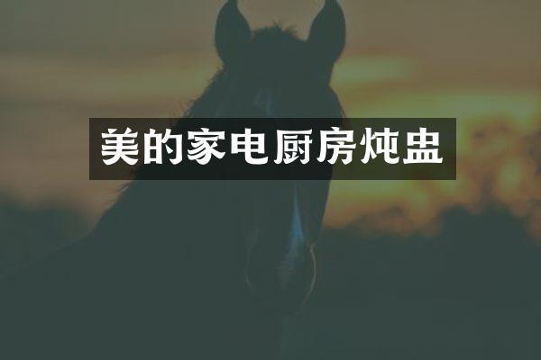 美的家电厨房炖盅