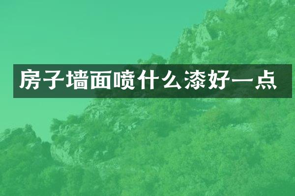 房子墙面喷什么漆好一点