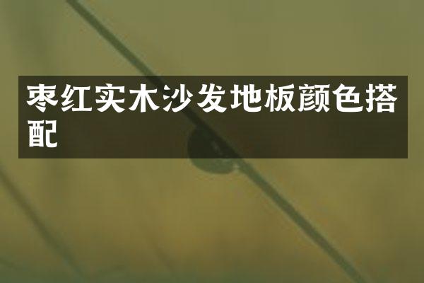 枣红实木沙发地板颜色搭配
