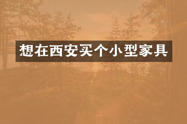 想在西安买个小型家具