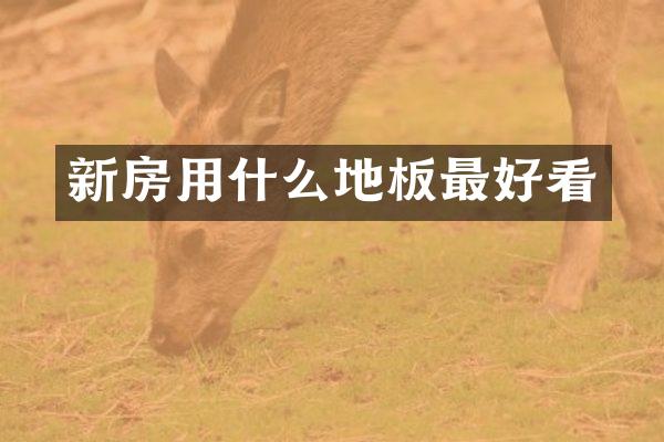 新房用什么地板最好看