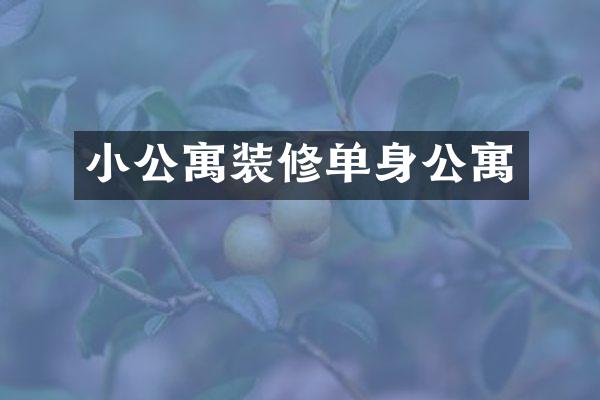 小公寓装修单身公寓