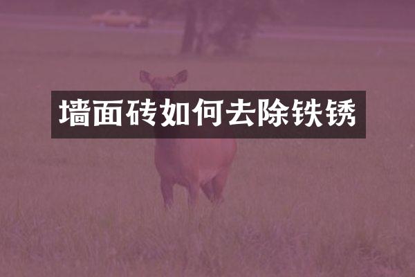 墙面砖如何去除铁锈