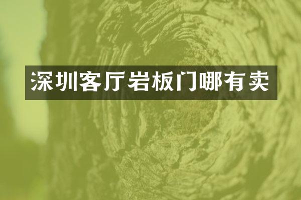 深圳客厅岩板门哪有卖