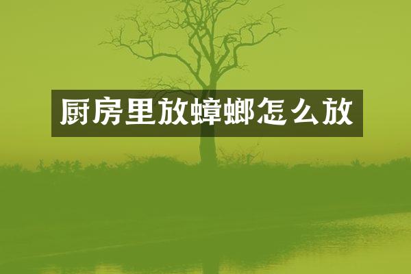 厨房里放蟑螂怎么放