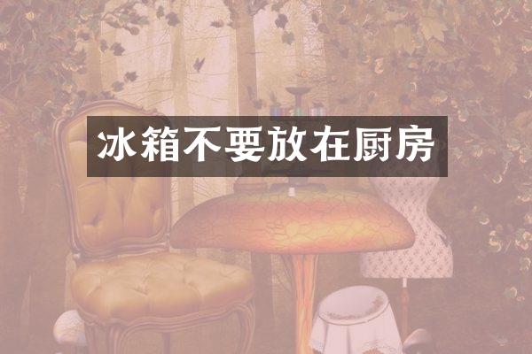 冰箱不要放在厨房
