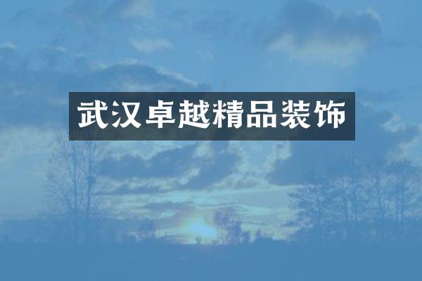 武汉卓越精品装饰