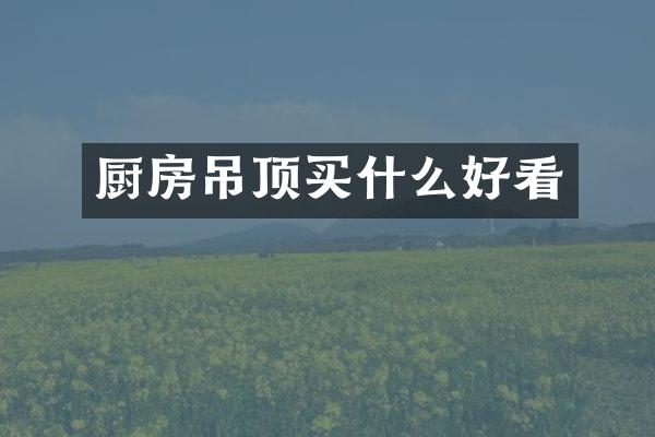 厨房吊顶买什么好看