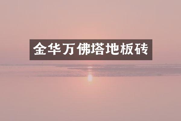 金华万佛塔地板砖