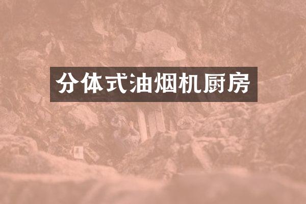 分体式油烟机厨房