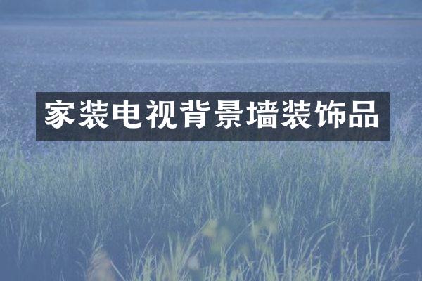 家装电视背景墙装饰品