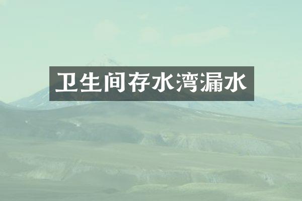 卫生间存水湾漏水