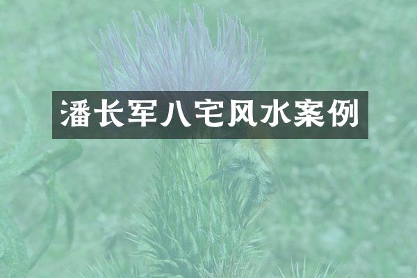 潘长军八宅风水案例