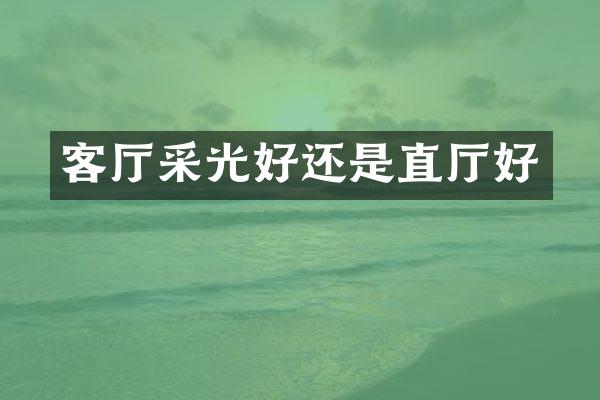 客厅采光好还是直厅好