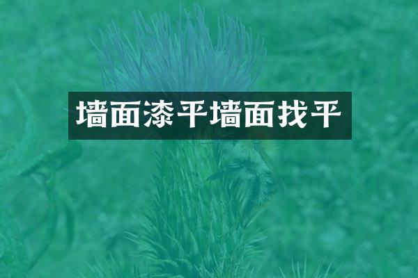 墙面漆平墙面找平