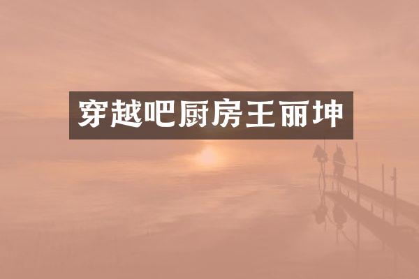 穿越吧厨房王丽坤
