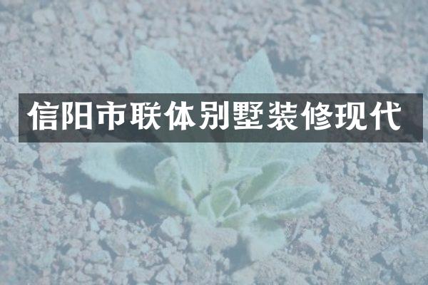 信阳市联体别墅装修现代